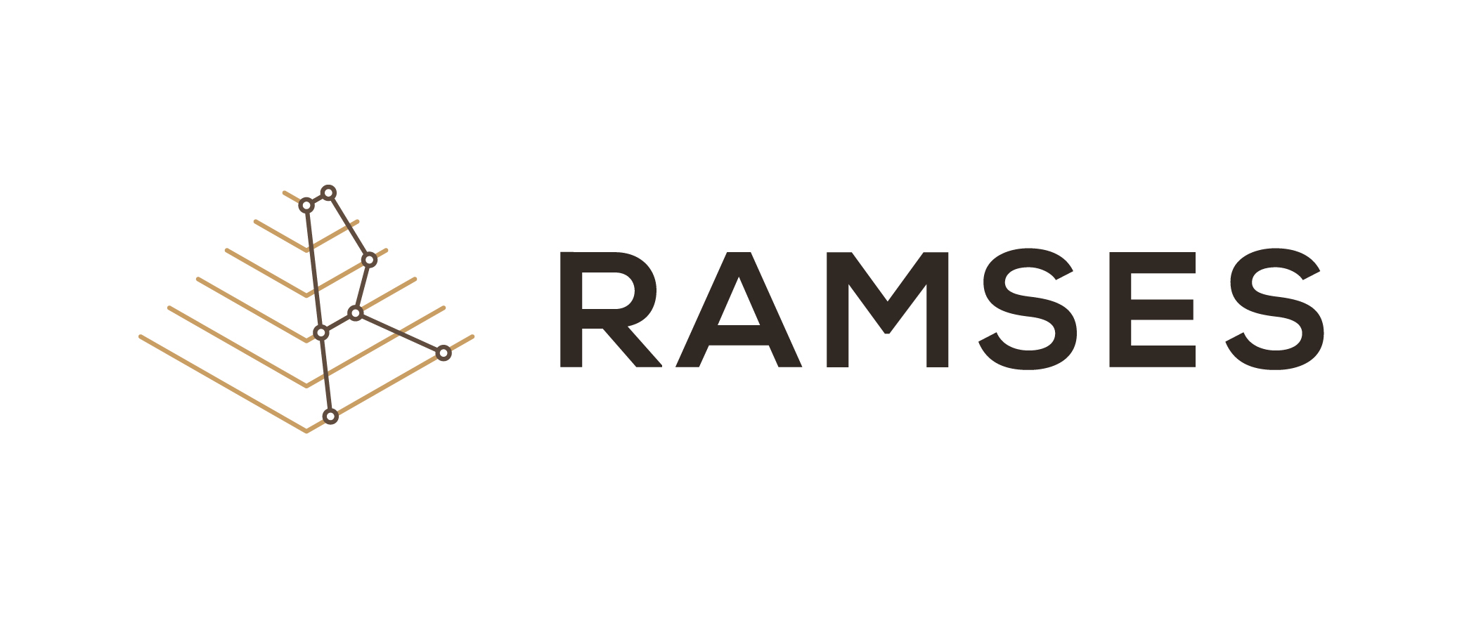 RAMSES: Malware analysis for digital forensics